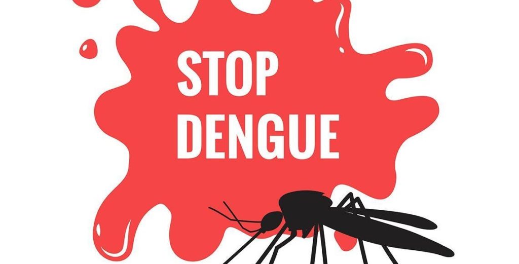 how-to-prevent-dengue-dicksnationals